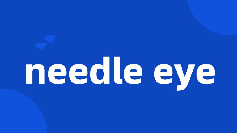 needle eye