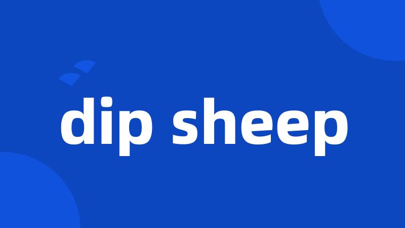 dip sheep