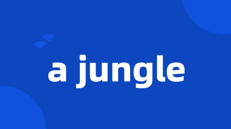 a jungle