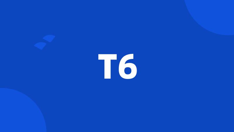 T6