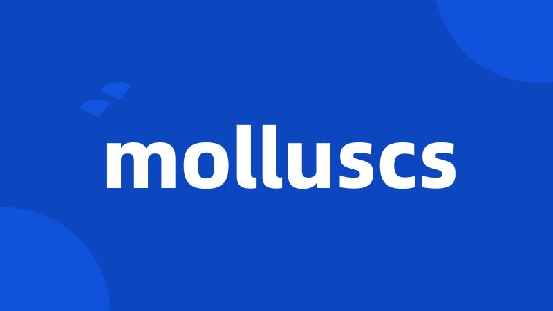 molluscs