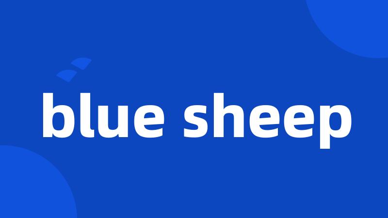 blue sheep