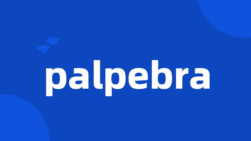 palpebra