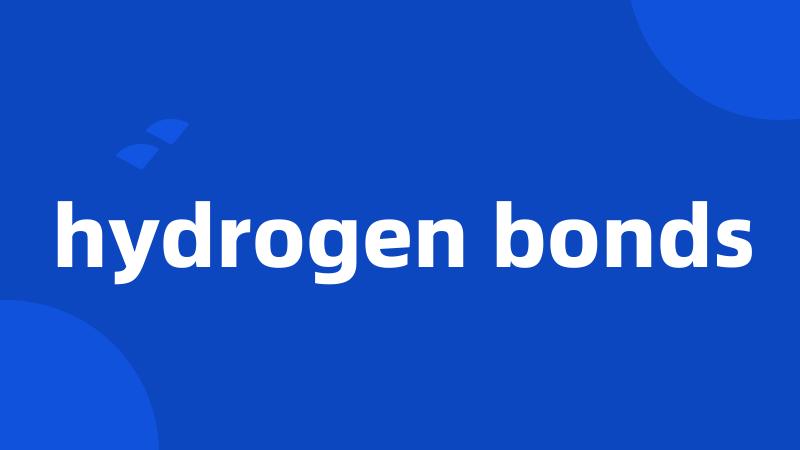 hydrogen bonds