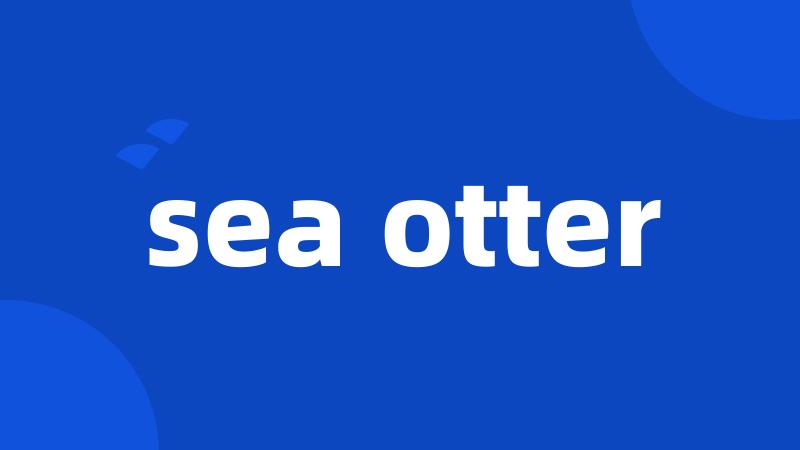 sea otter