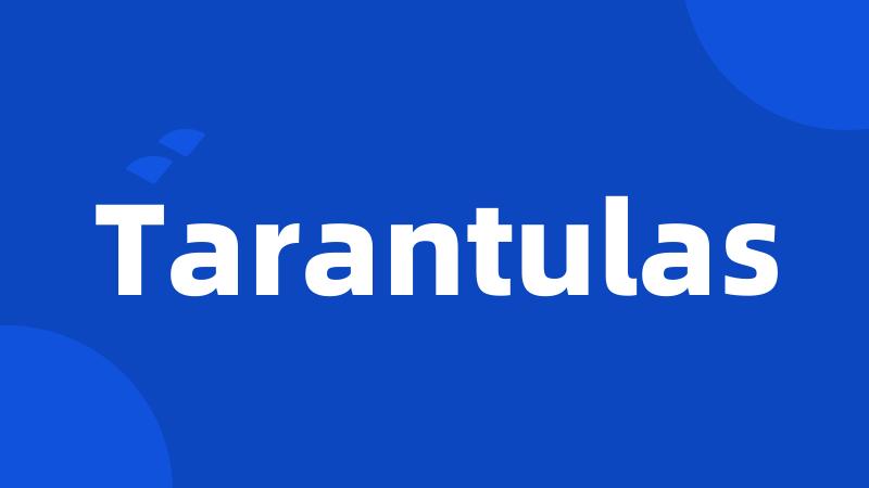 Tarantulas