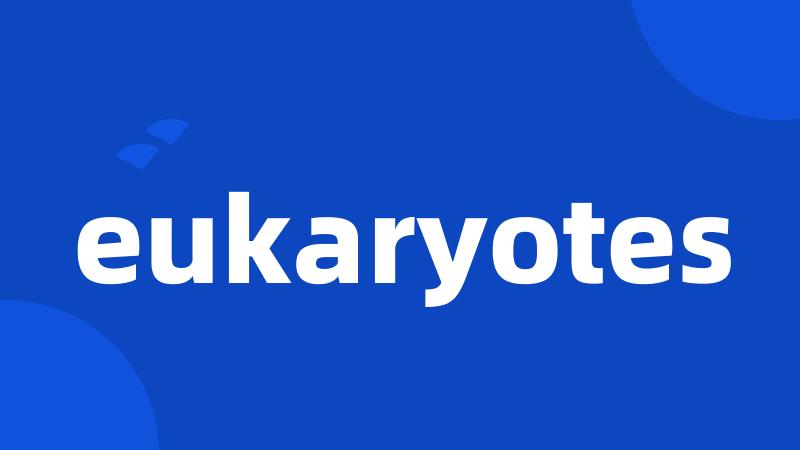 eukaryotes