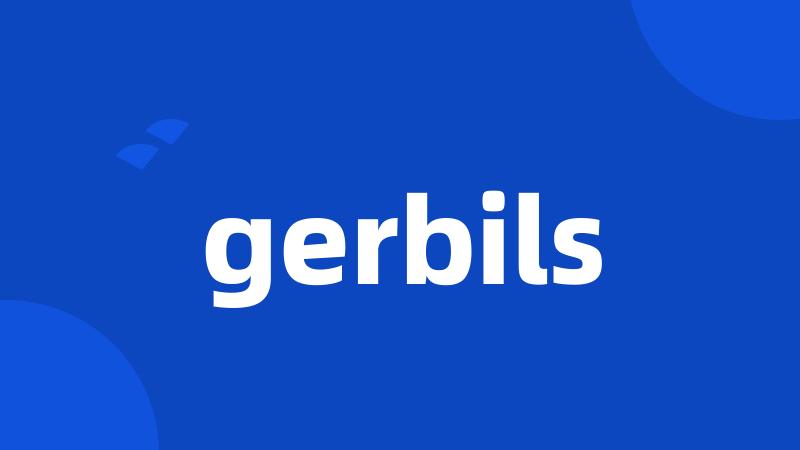 gerbils