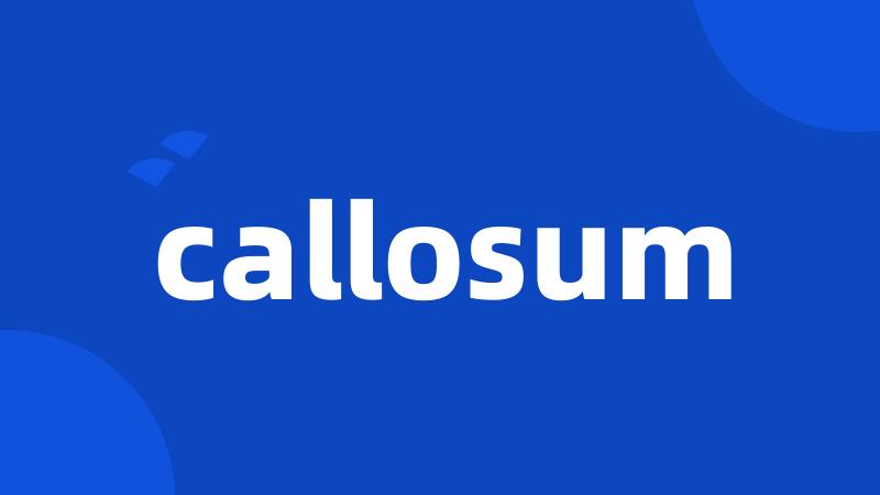 callosum