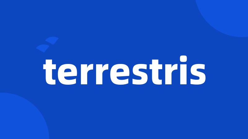 terrestris