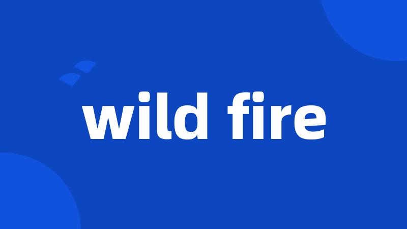 wild fire