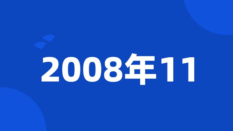 2008年11