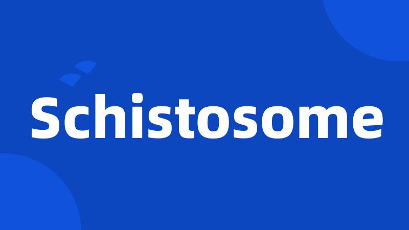 Schistosome