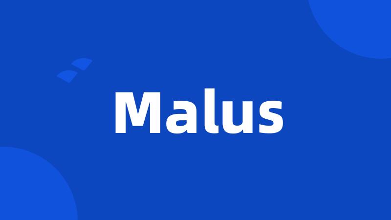 Malus