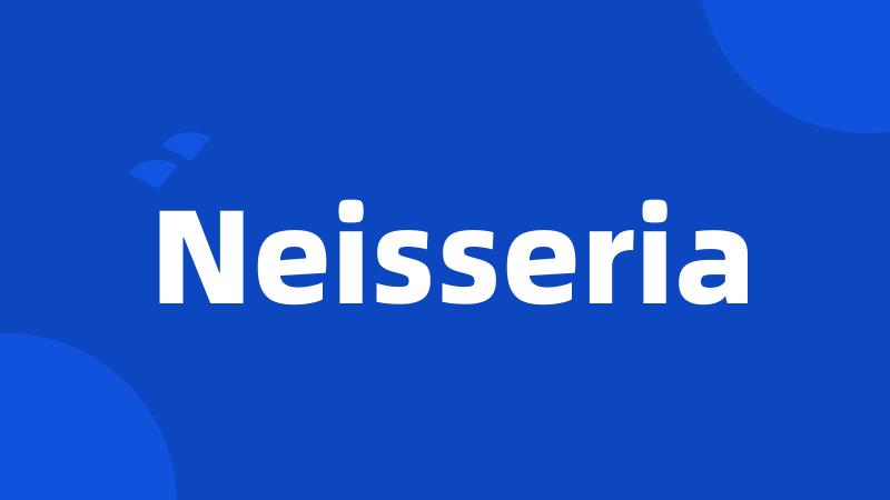 Neisseria