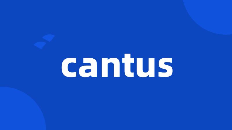 cantus