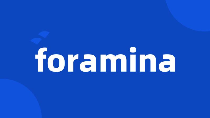 foramina