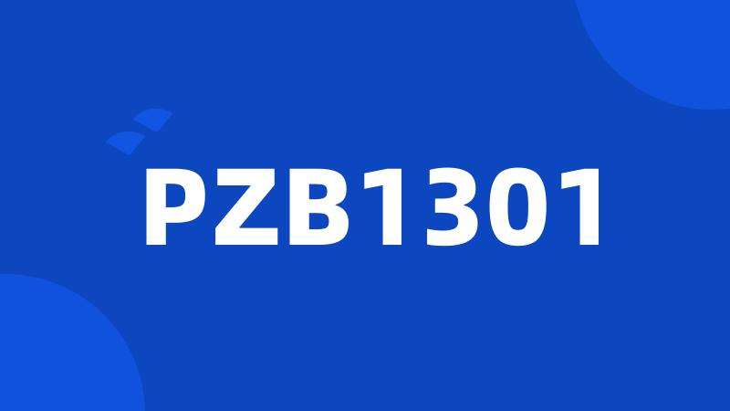 PZB1301