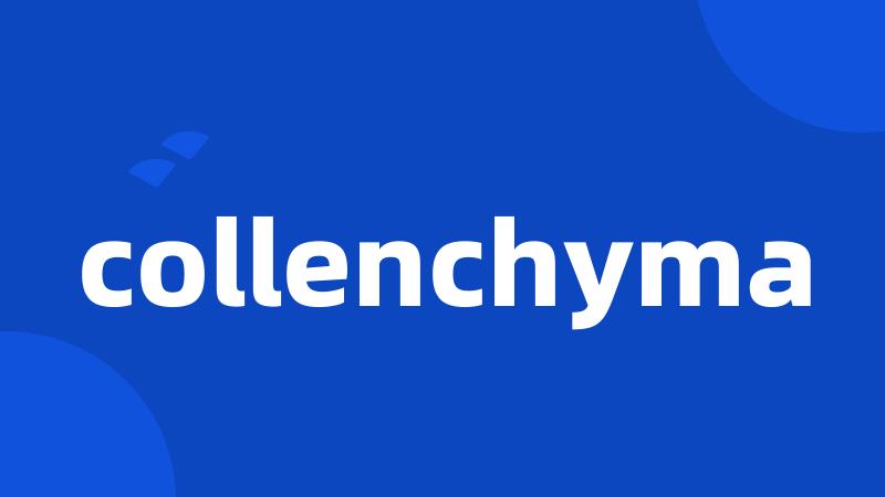 collenchyma