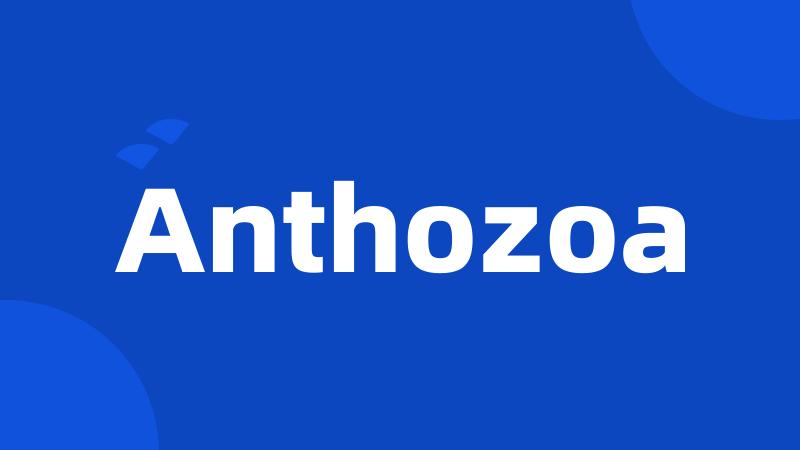 Anthozoa