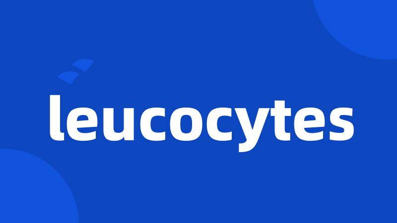 leucocytes