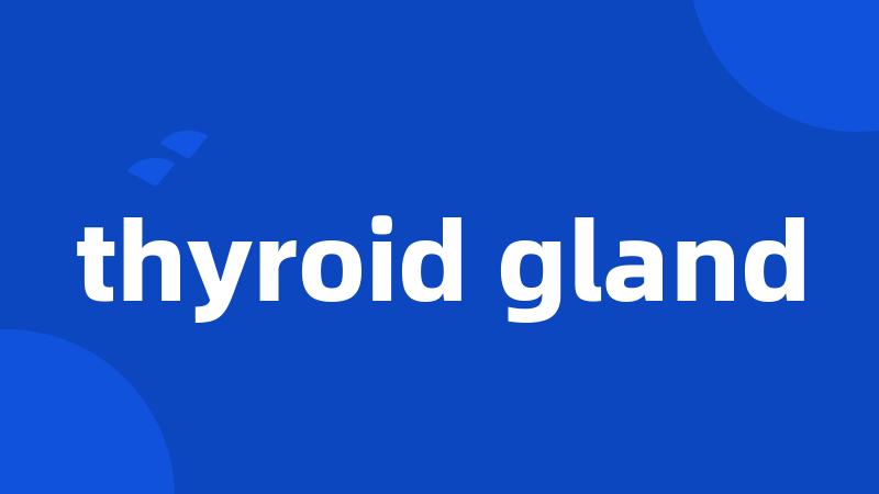 thyroid gland