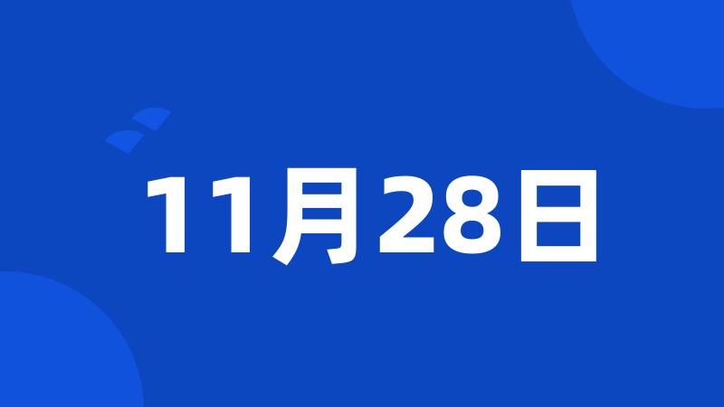 11月28日