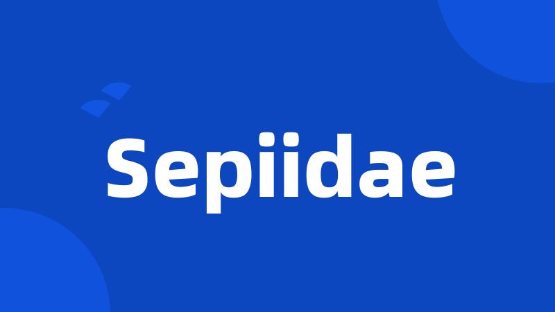 Sepiidae