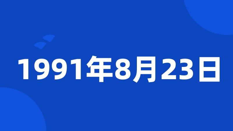 1991年8月23日