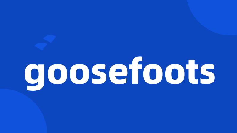 goosefoots