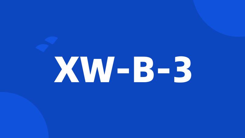 XW-B-3