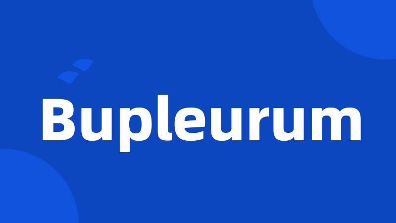 Bupleurum