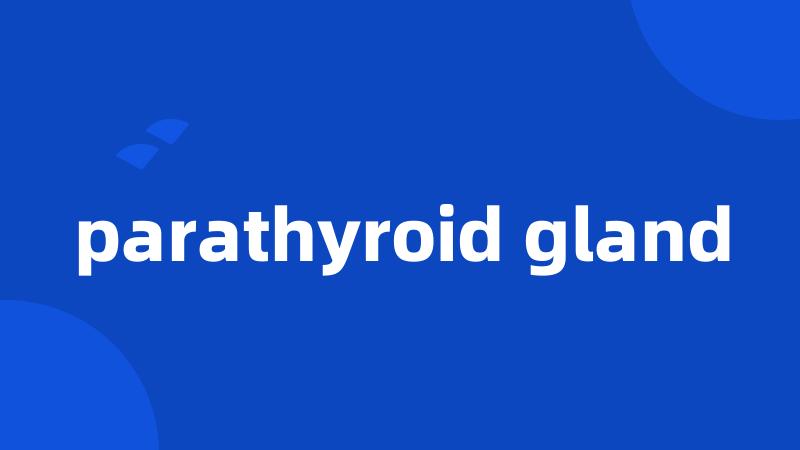 parathyroid gland