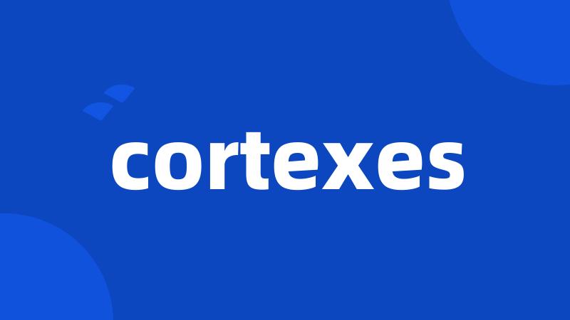 cortexes