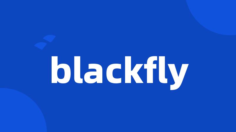 blackfly