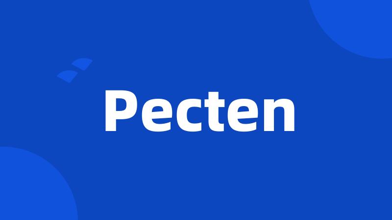 Pecten