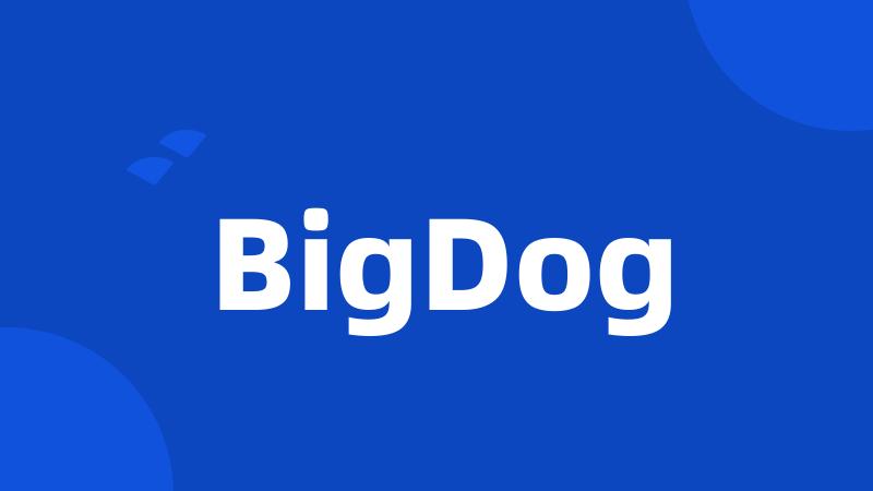 BigDog