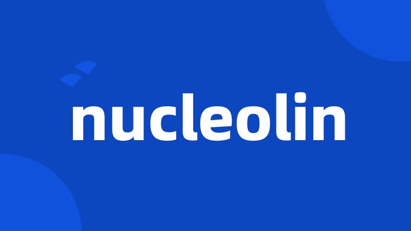 nucleolin