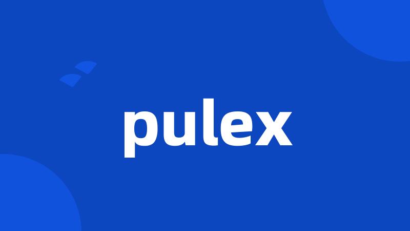 pulex