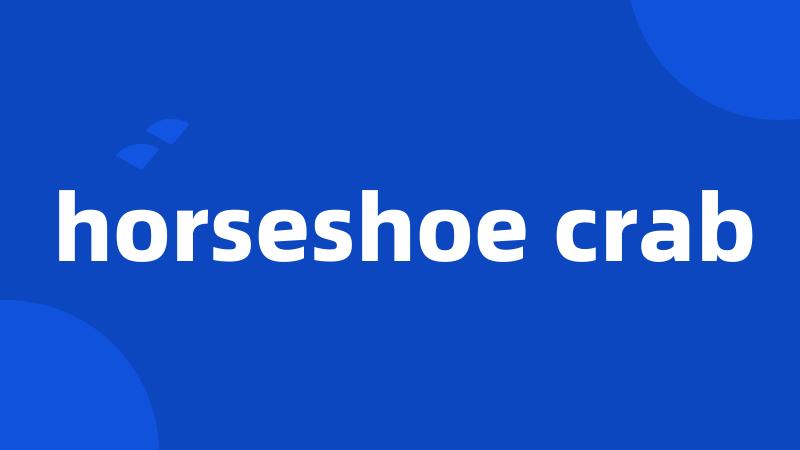 horseshoe crab