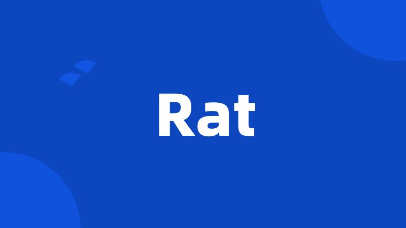 Rat