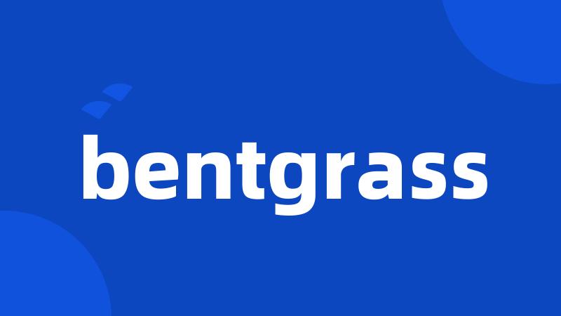 bentgrass