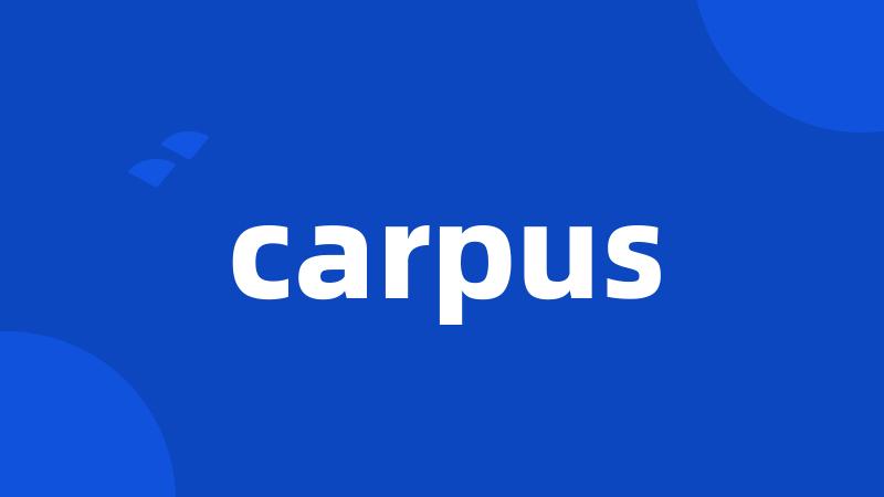 carpus