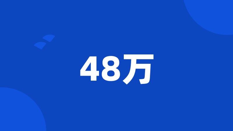 48万