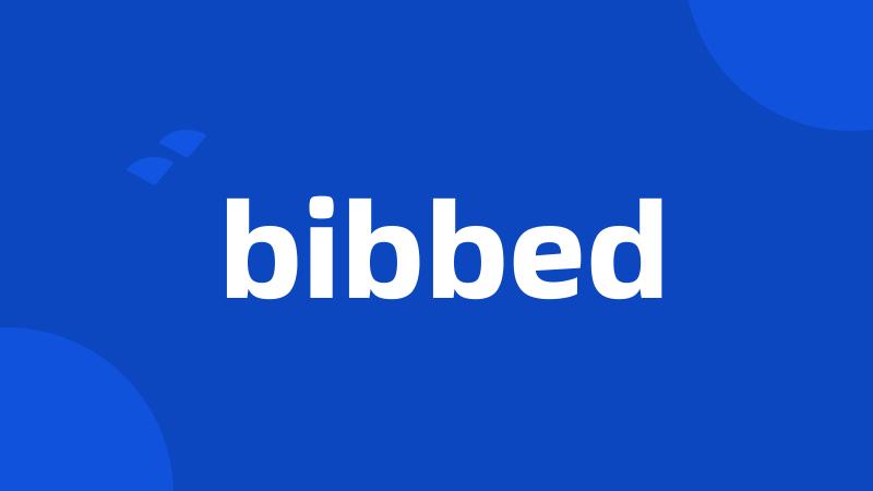 bibbed