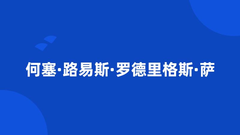 何塞·路易斯·罗德里格斯·萨