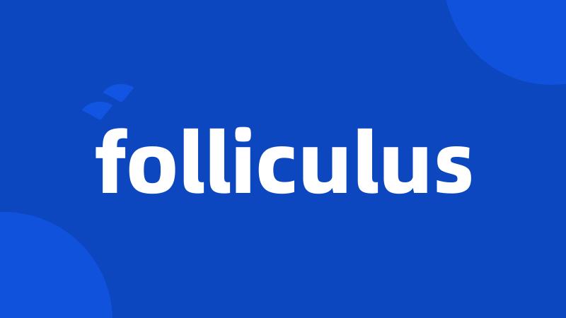 folliculus