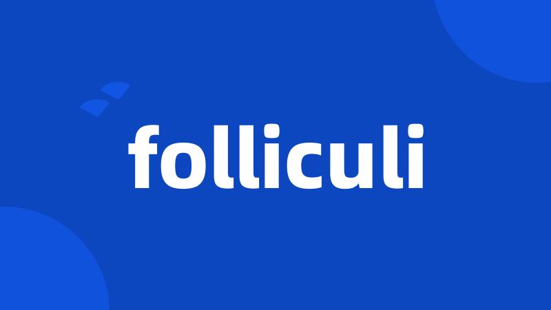 folliculi