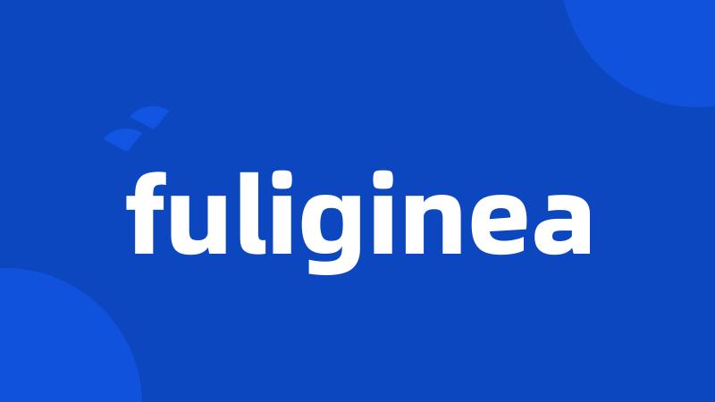 fuliginea