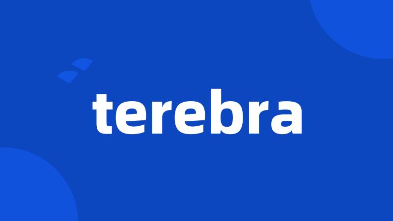 terebra